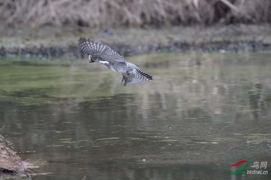 20180224-DSC00996-42 - ���� (3).JPG