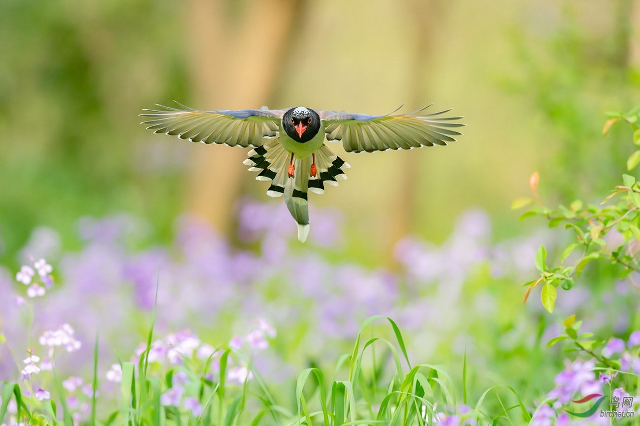 DSC_0457---_����2.jpg