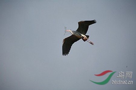 IMG_0033.jpg