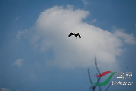 IMG_0083.jpg
