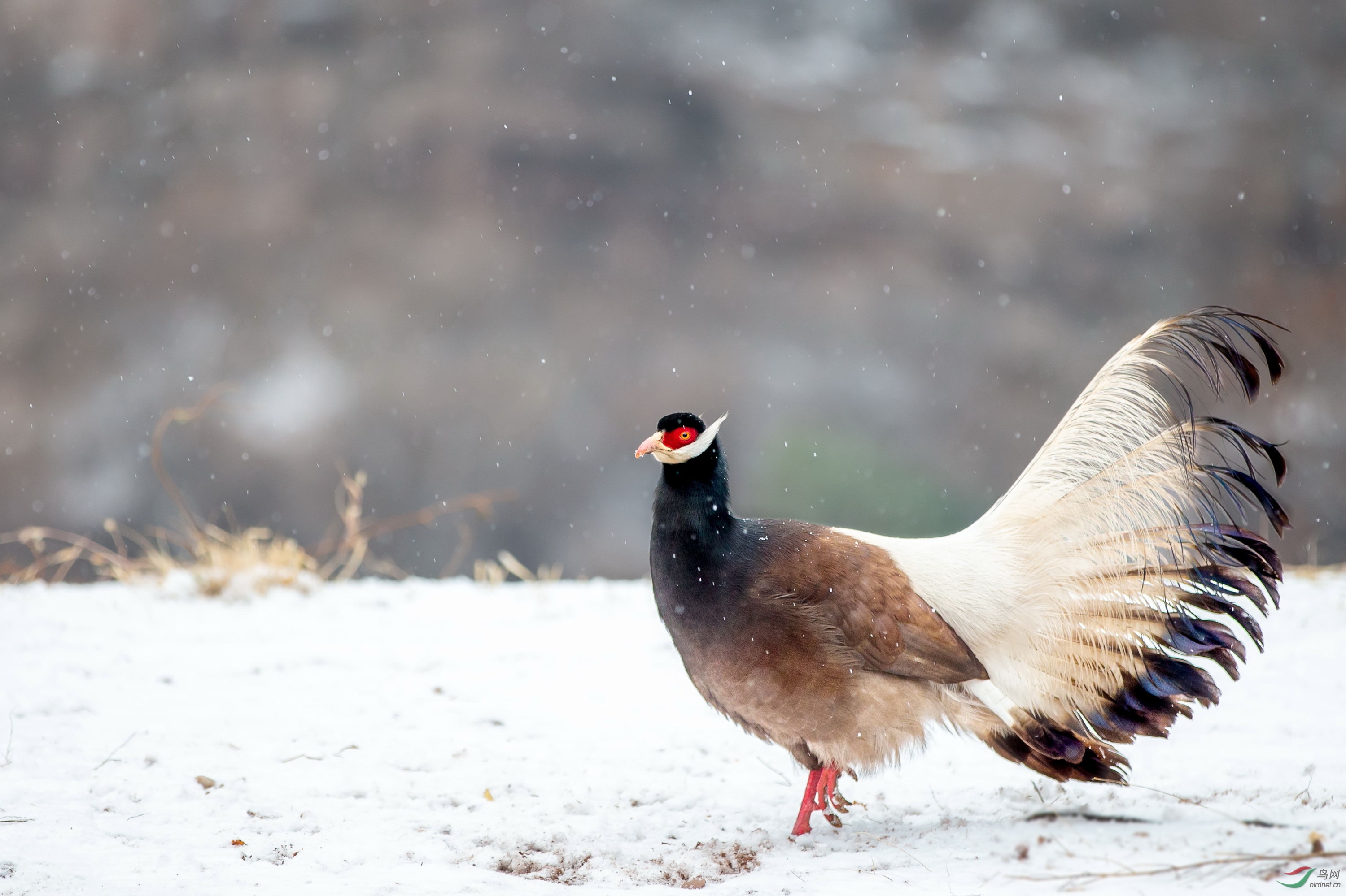 ������ (10).JPG