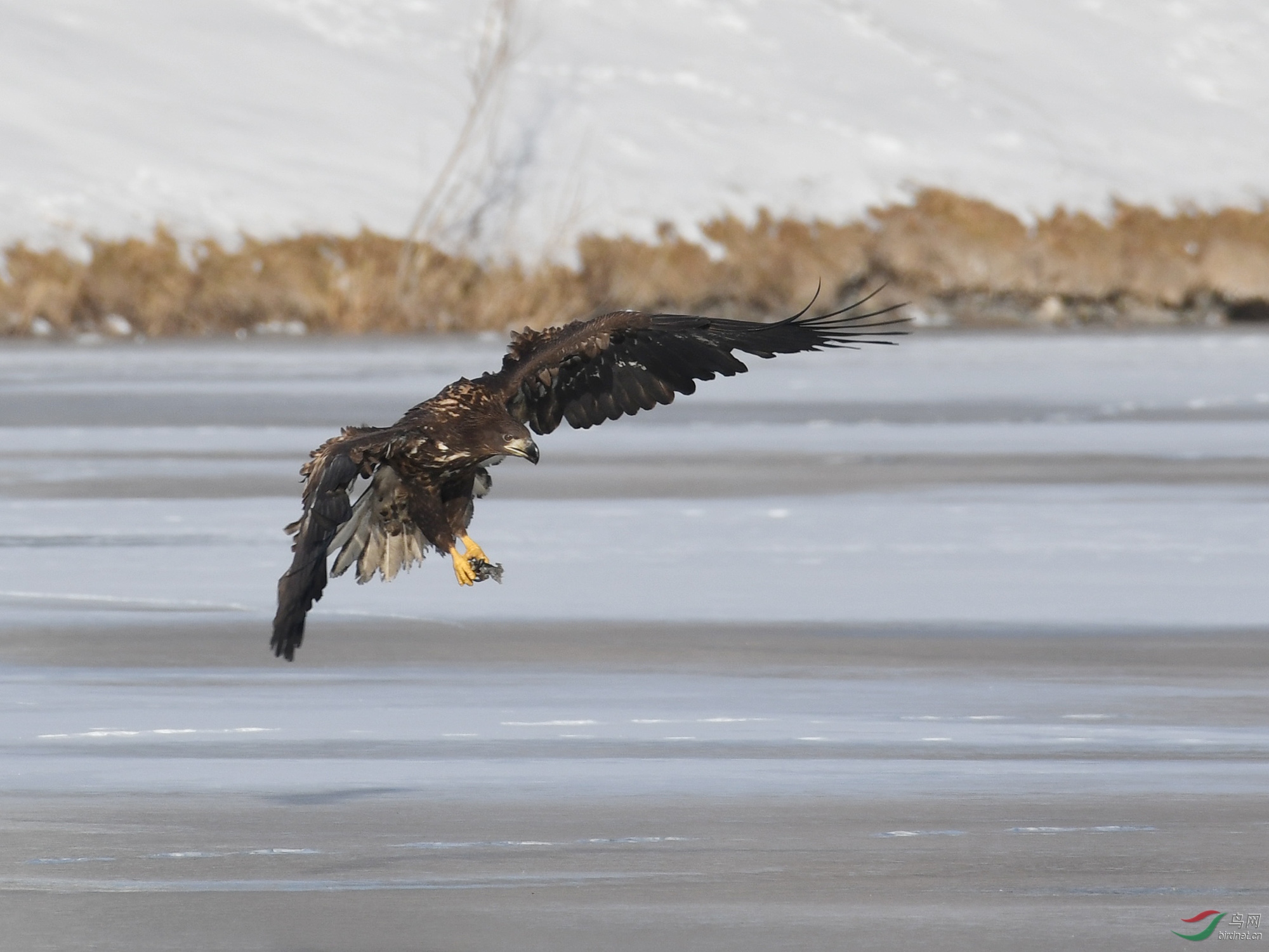 ������Ӱ 228����.jpg