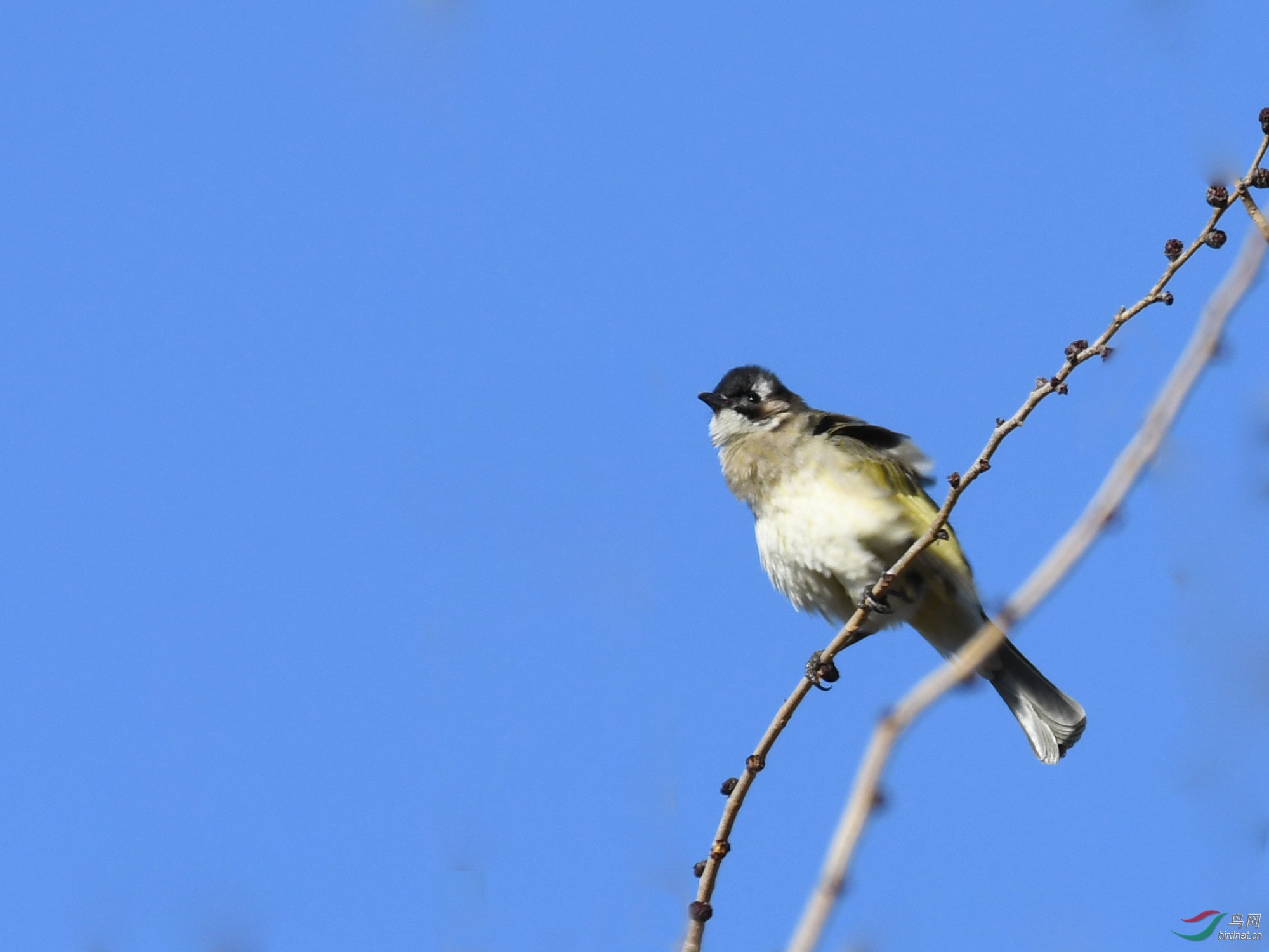 ������Ӱ 1104����.jpg