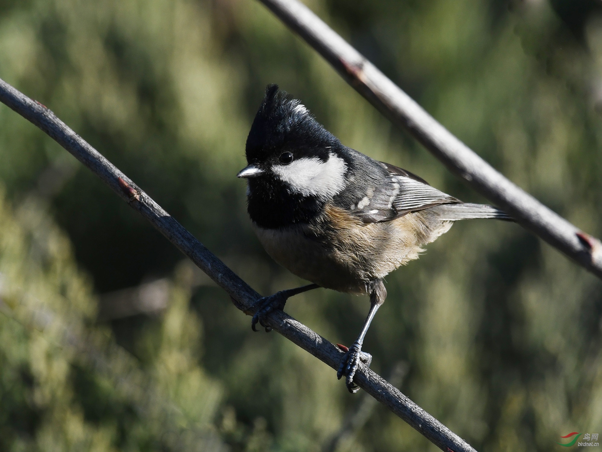 ������Ӱ 1135����.jpg