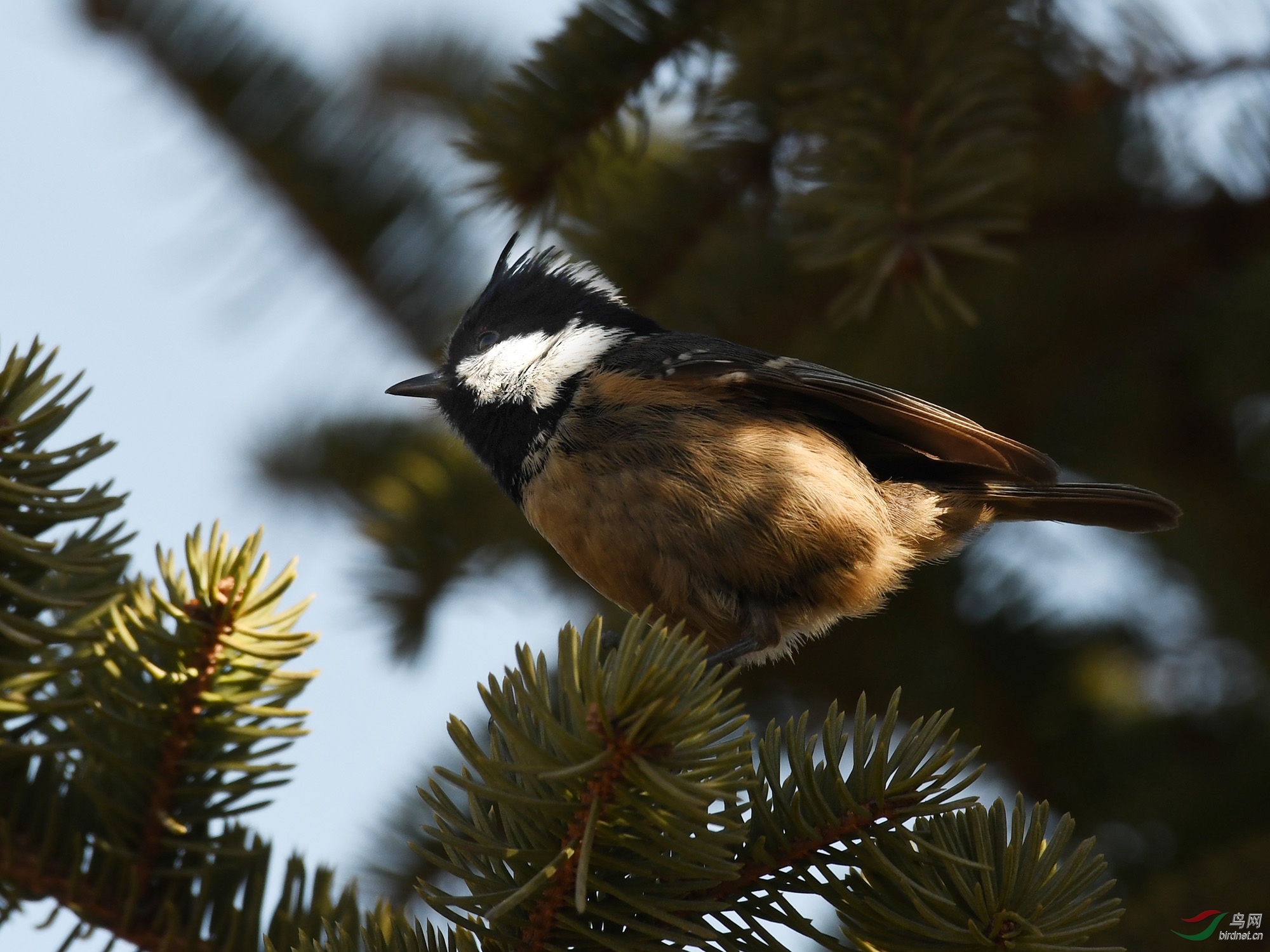 ������Ӱ 1267����.jpg