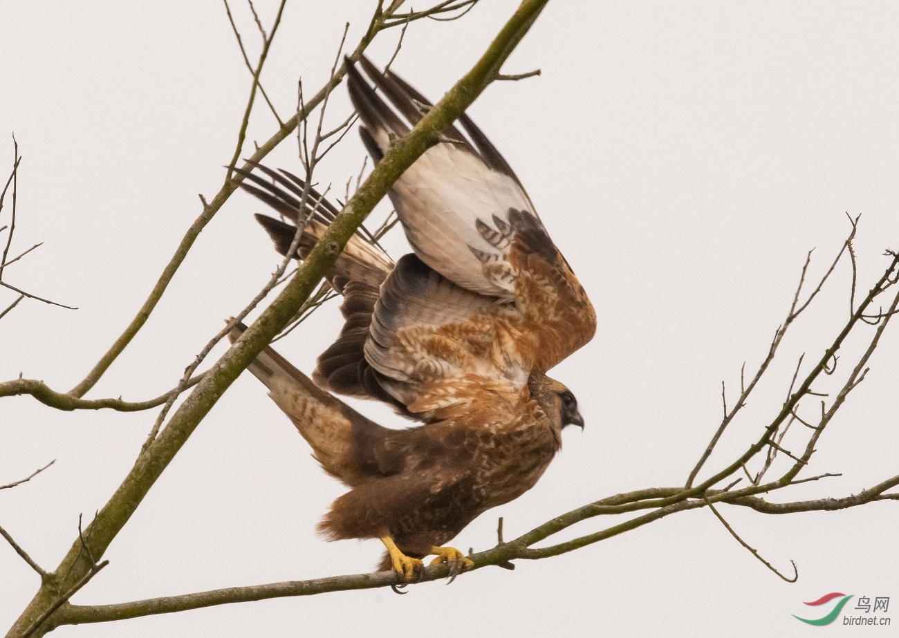 DSC_4697.jpg