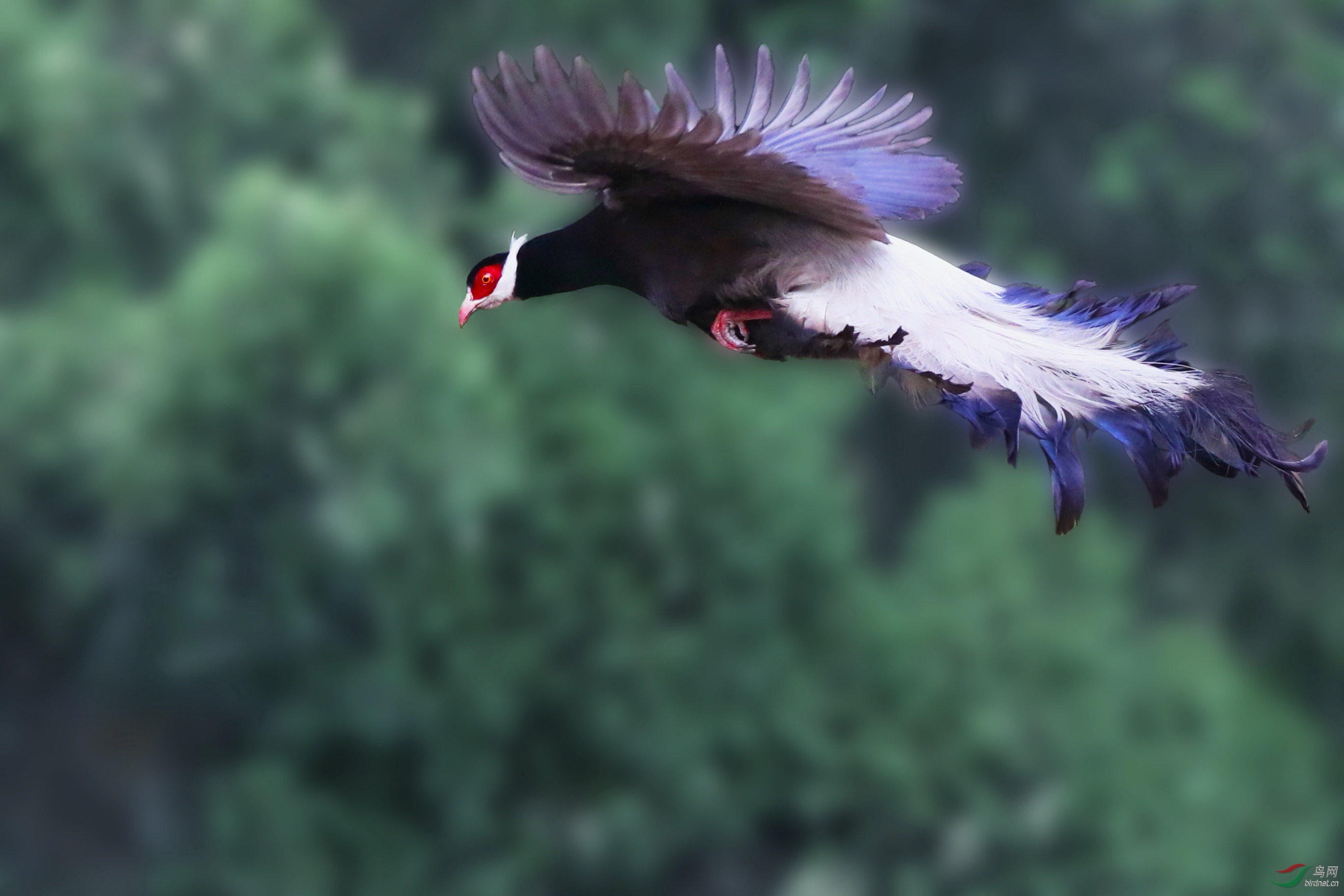 ������ (2).JPG