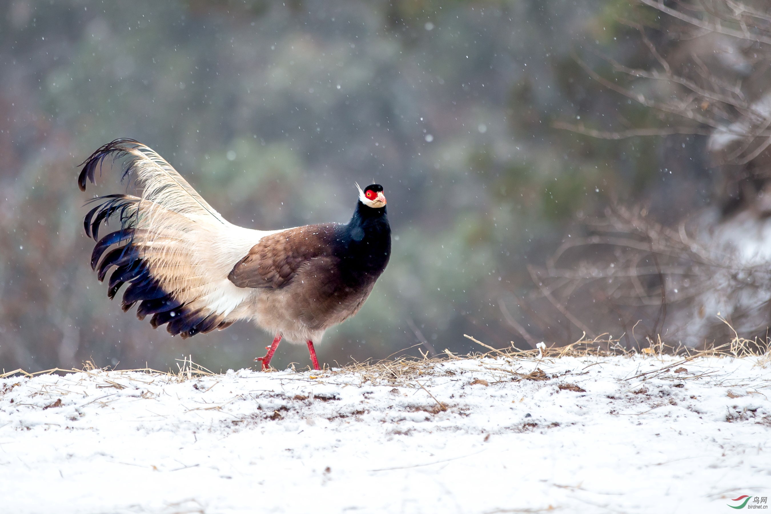 ������ (9).JPG