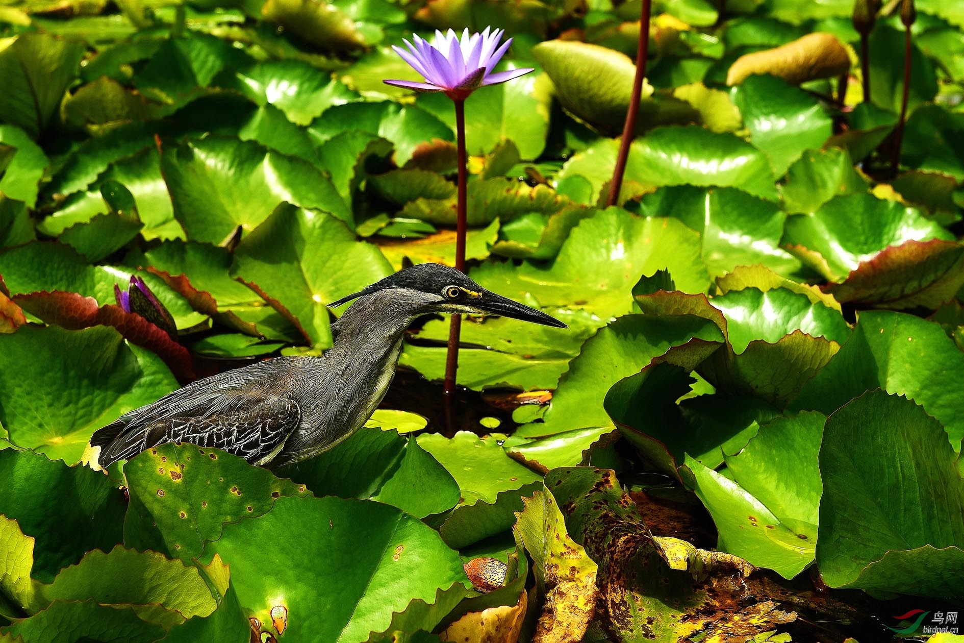 DSC_5427.JPG
