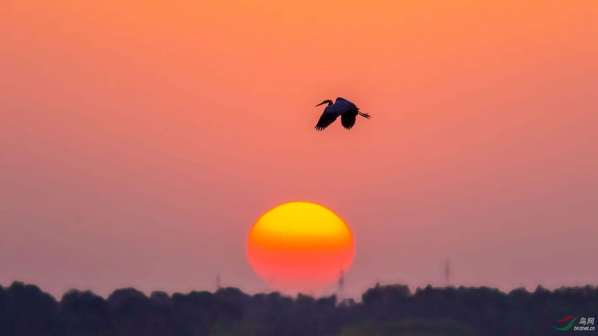4J2A2808_2019.5.25-������.jpg