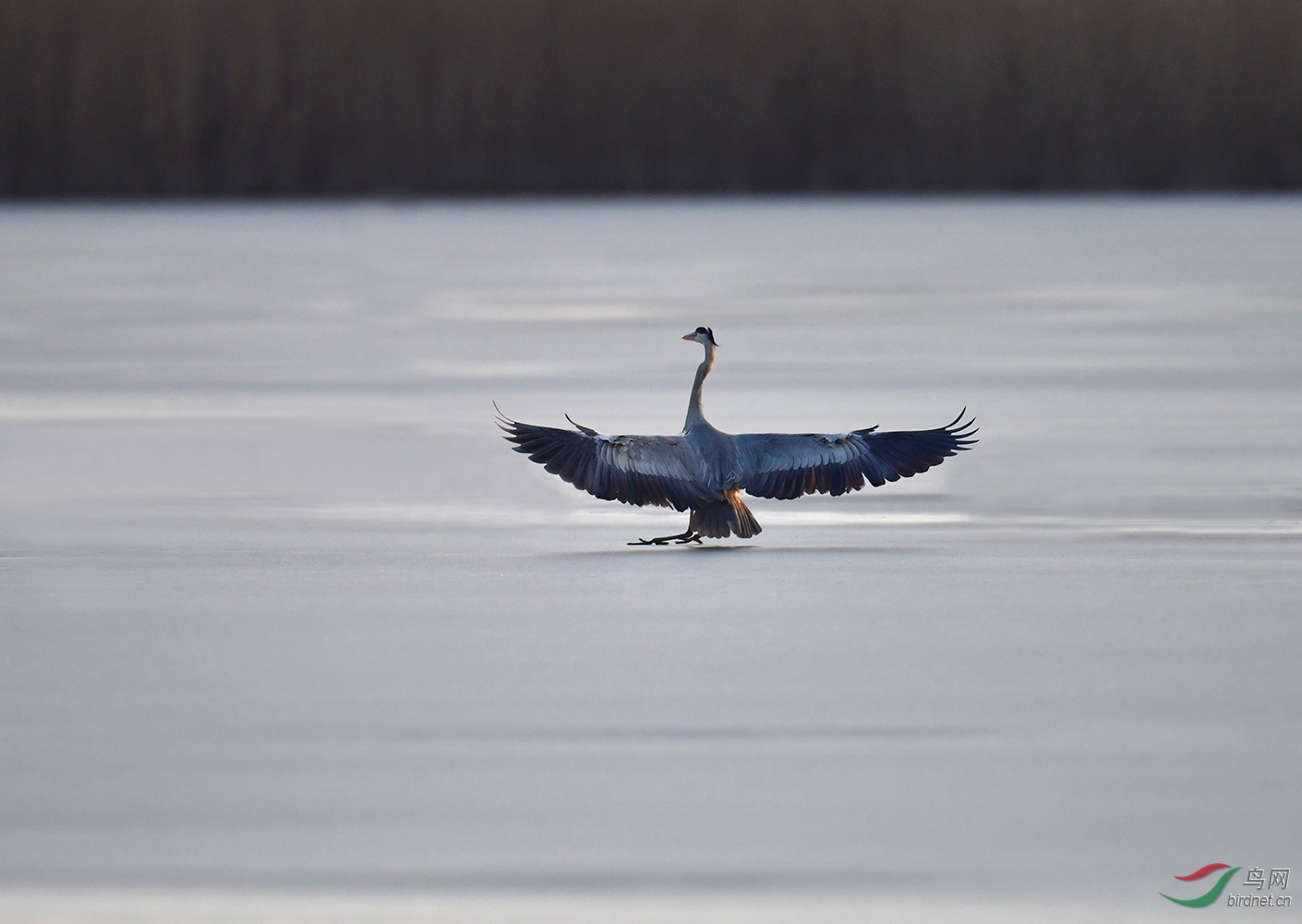 DSC_89461 ����.jpg