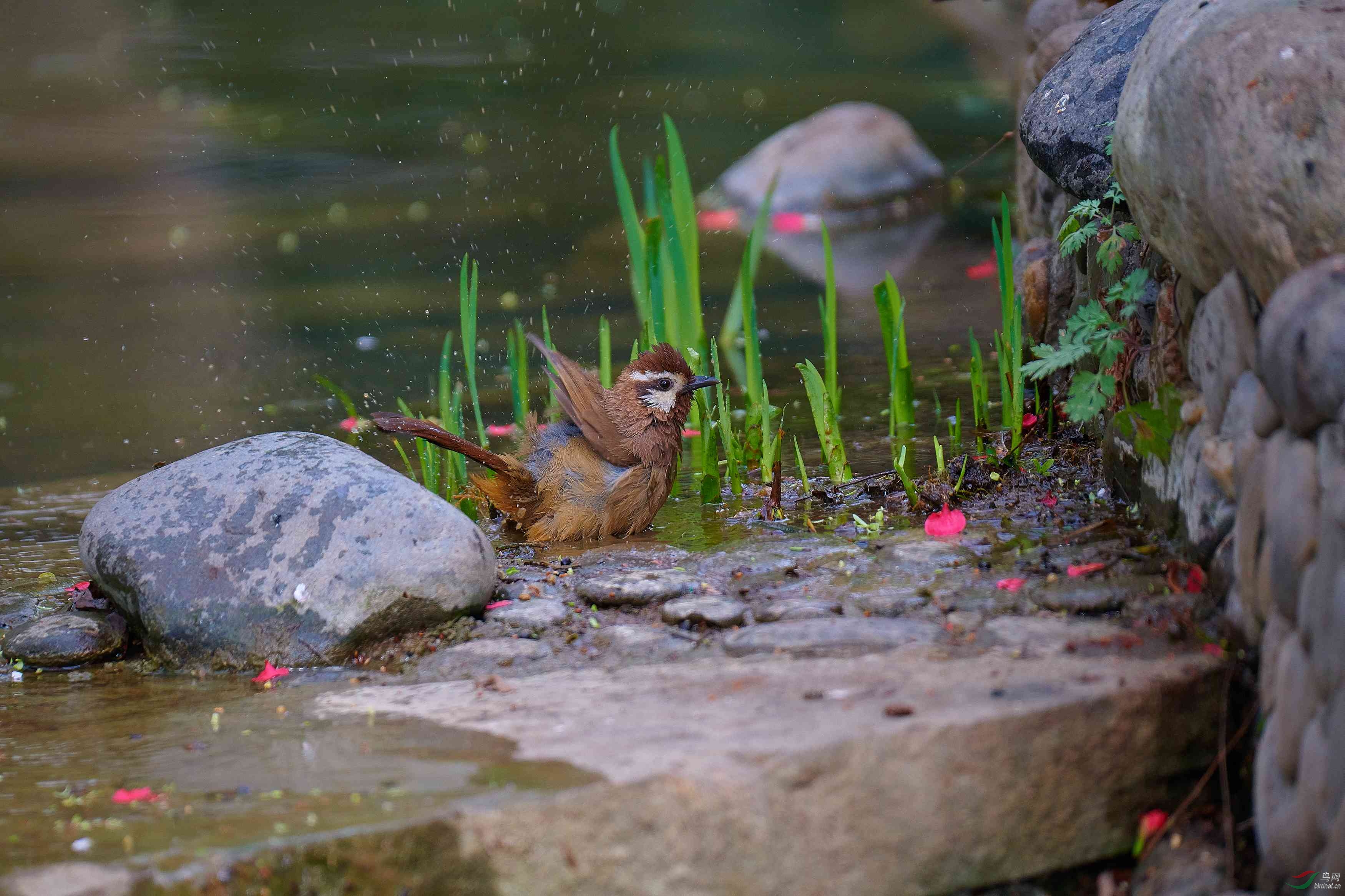 DSC_3235.jpg