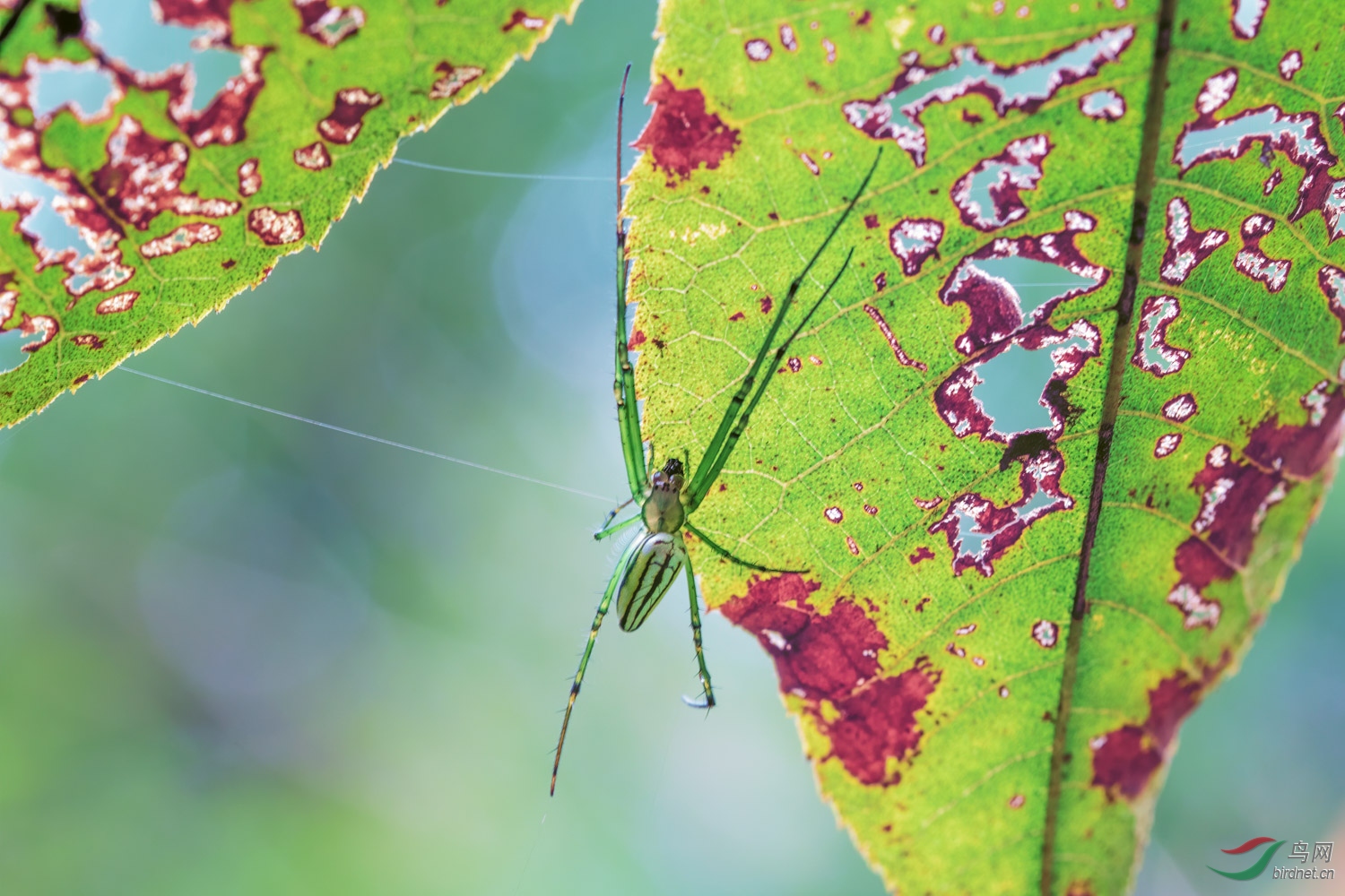 DSC_0723 ����_1.jpg