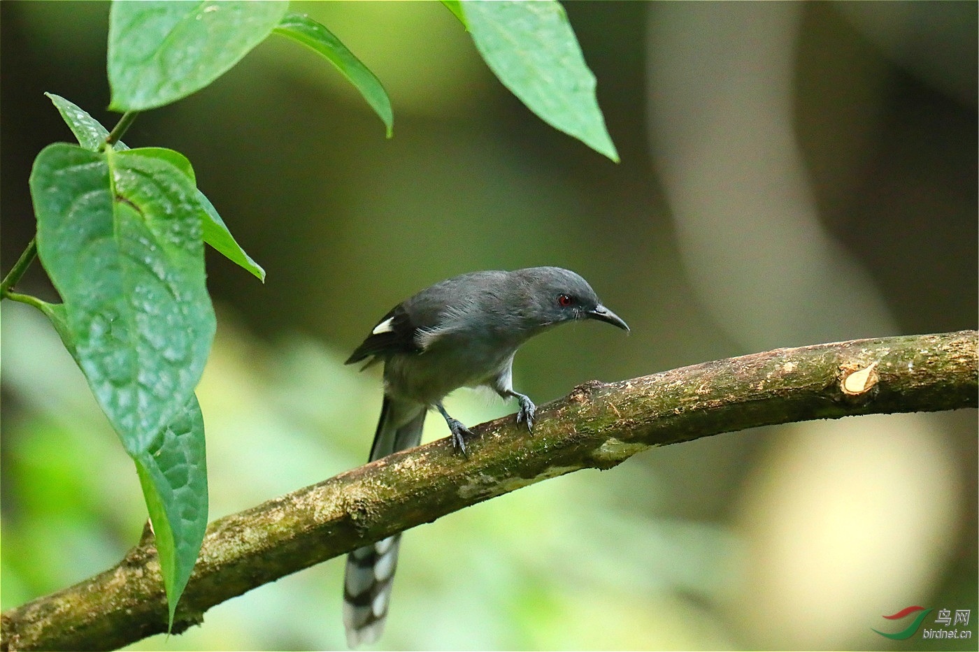 psb (67)_meitu_4.jpg