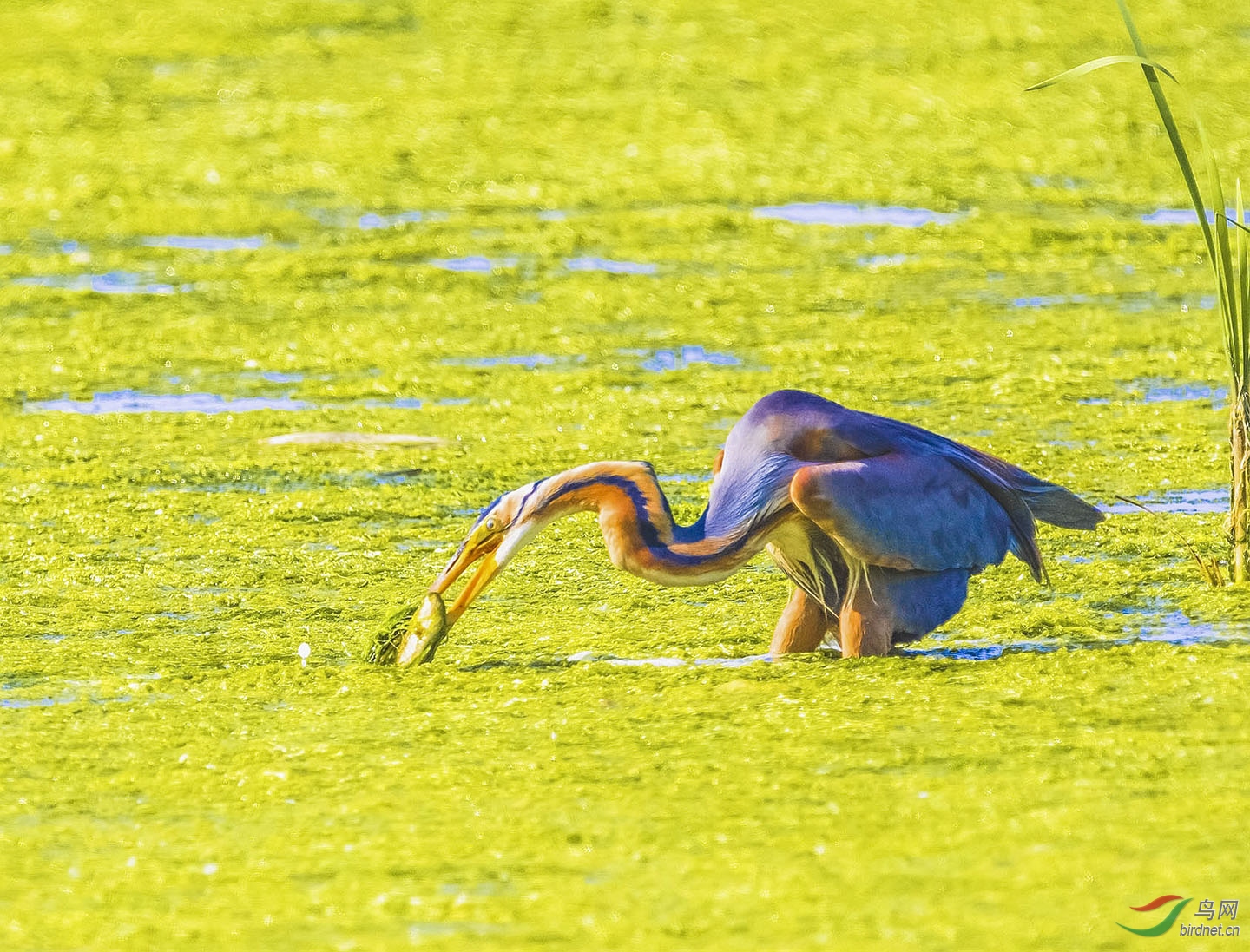 �㼡�忴Ұ�����ﱣ��