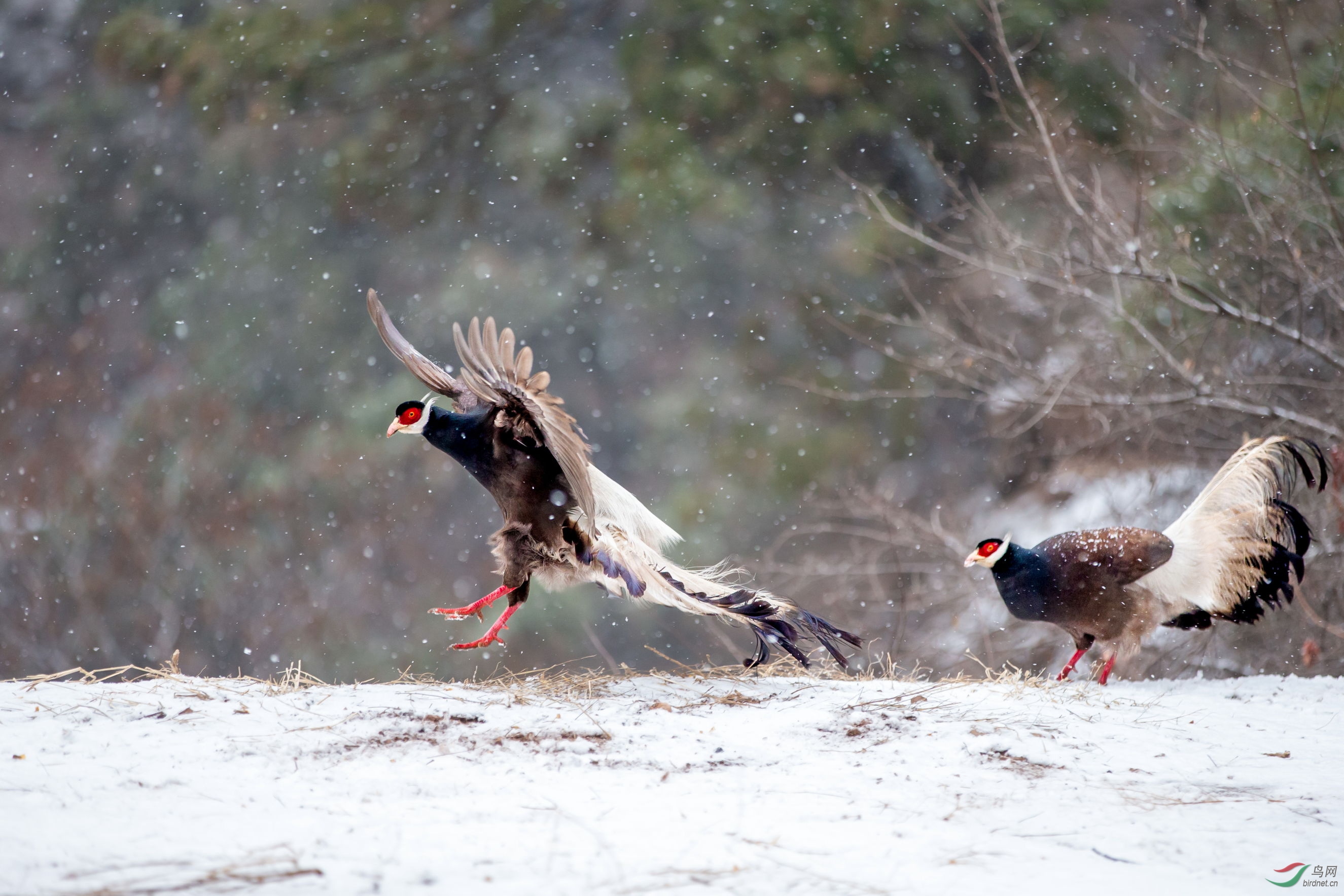 ������ (7).JPG