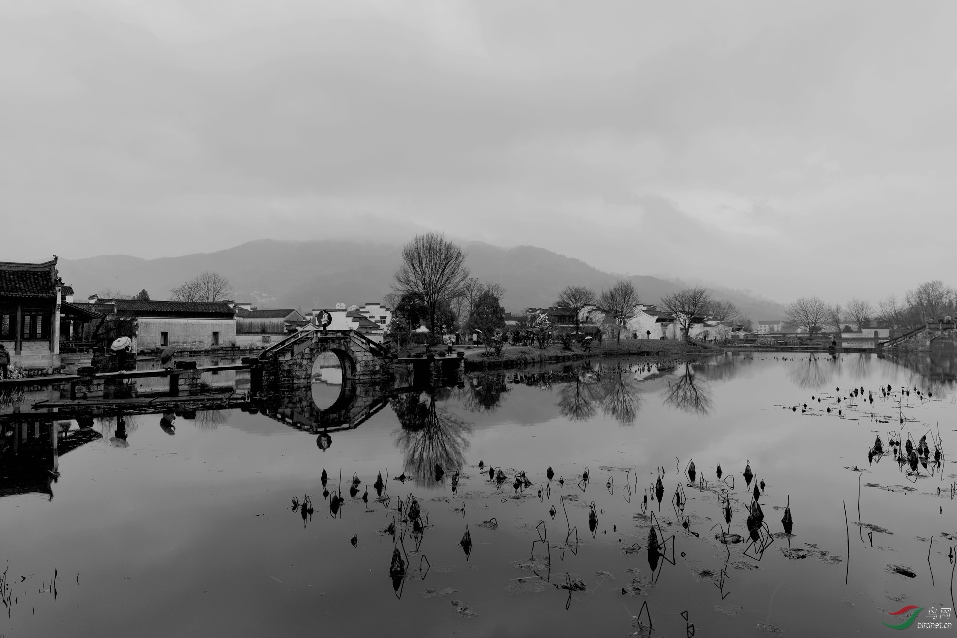 烟雨蒙蒙忆江南