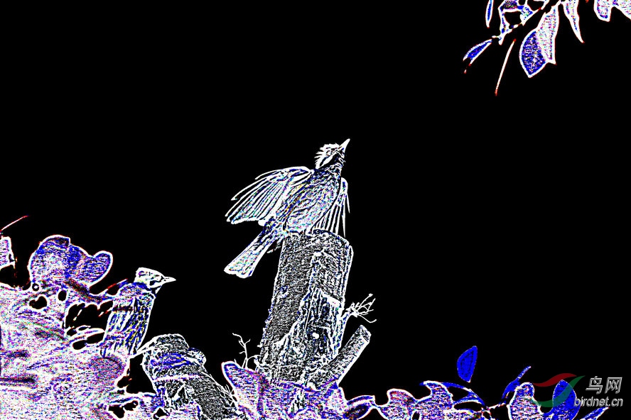 4K0A7068_����_����_����.jpg