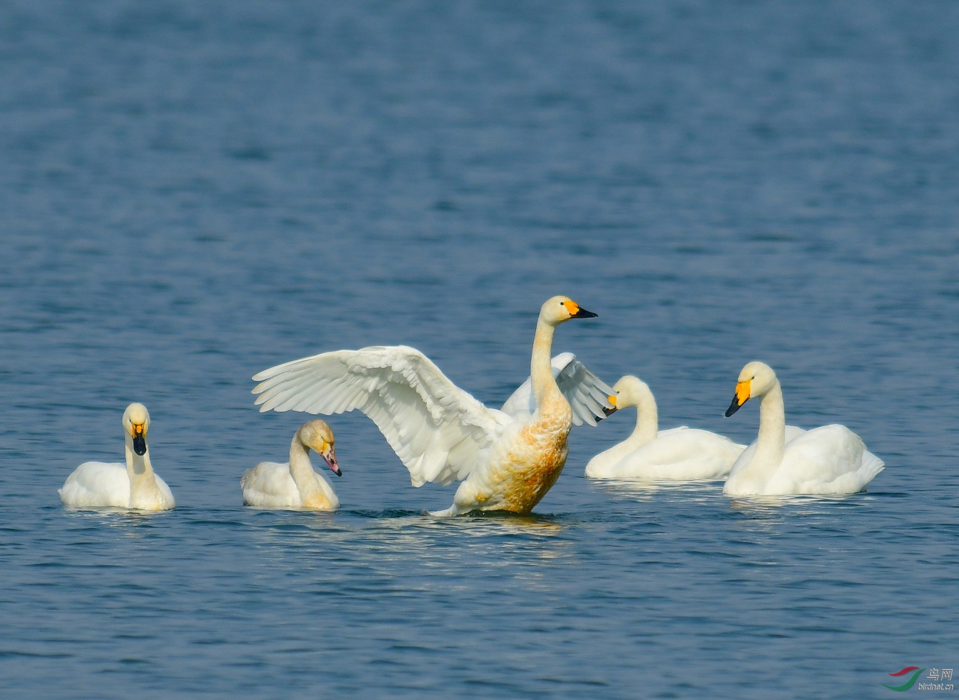 DSC_5139.JPG