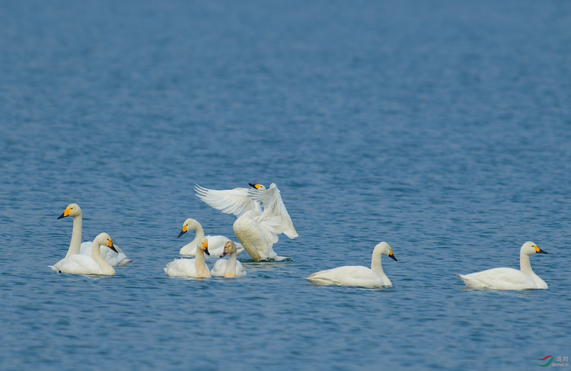 DSC_5145.JPG