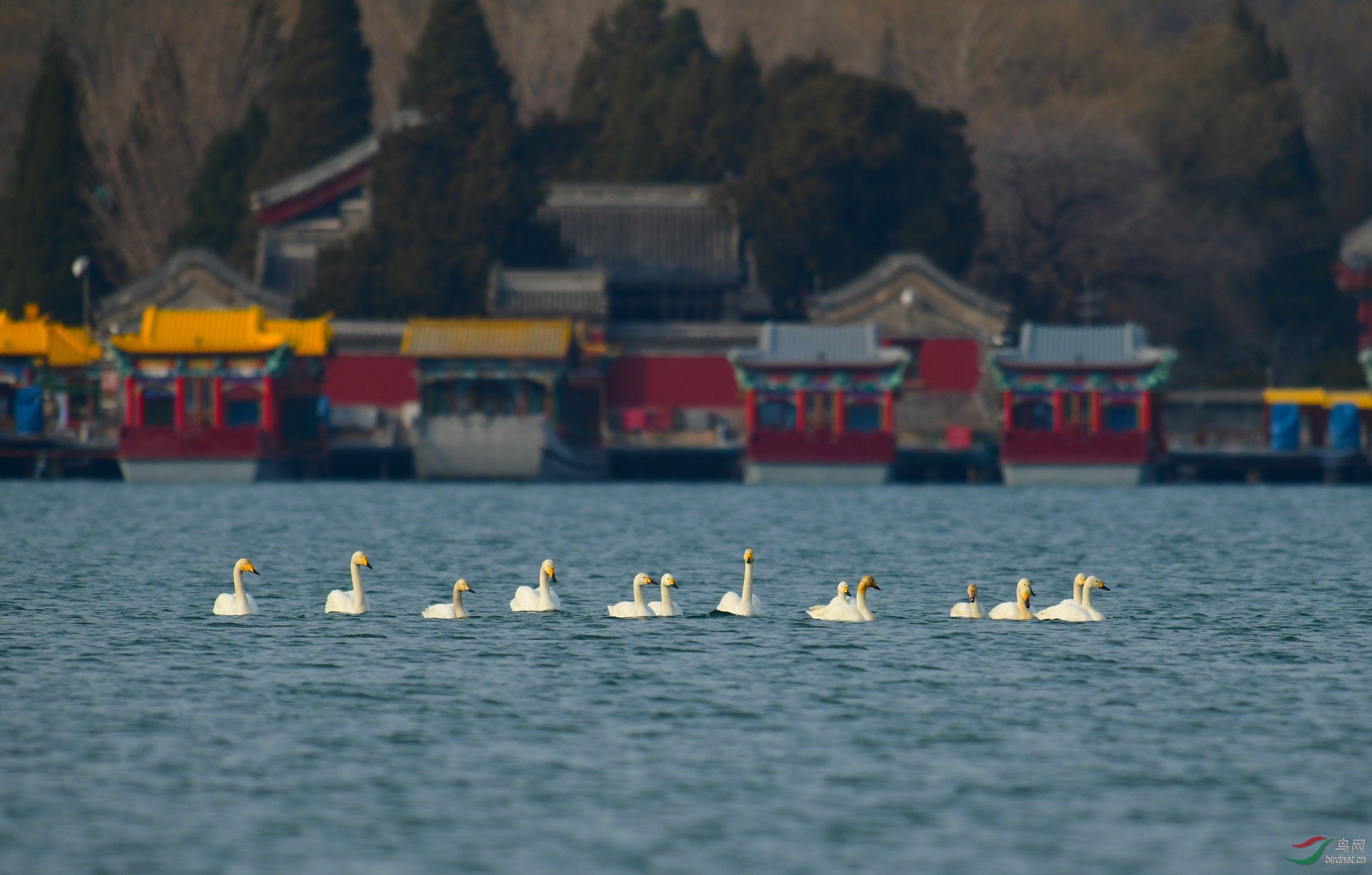 DSC_5160.JPG