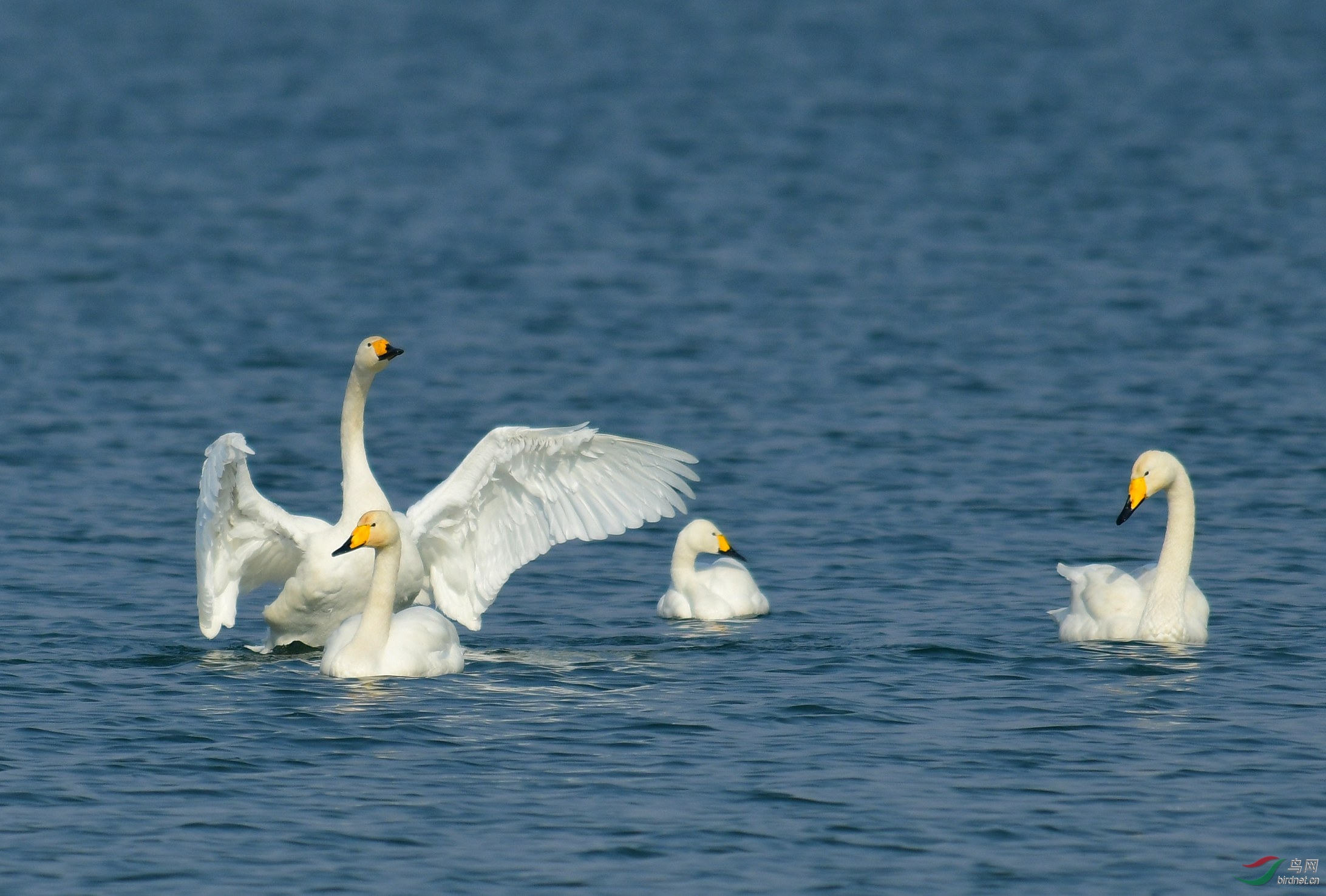 DSC_5113.JPG