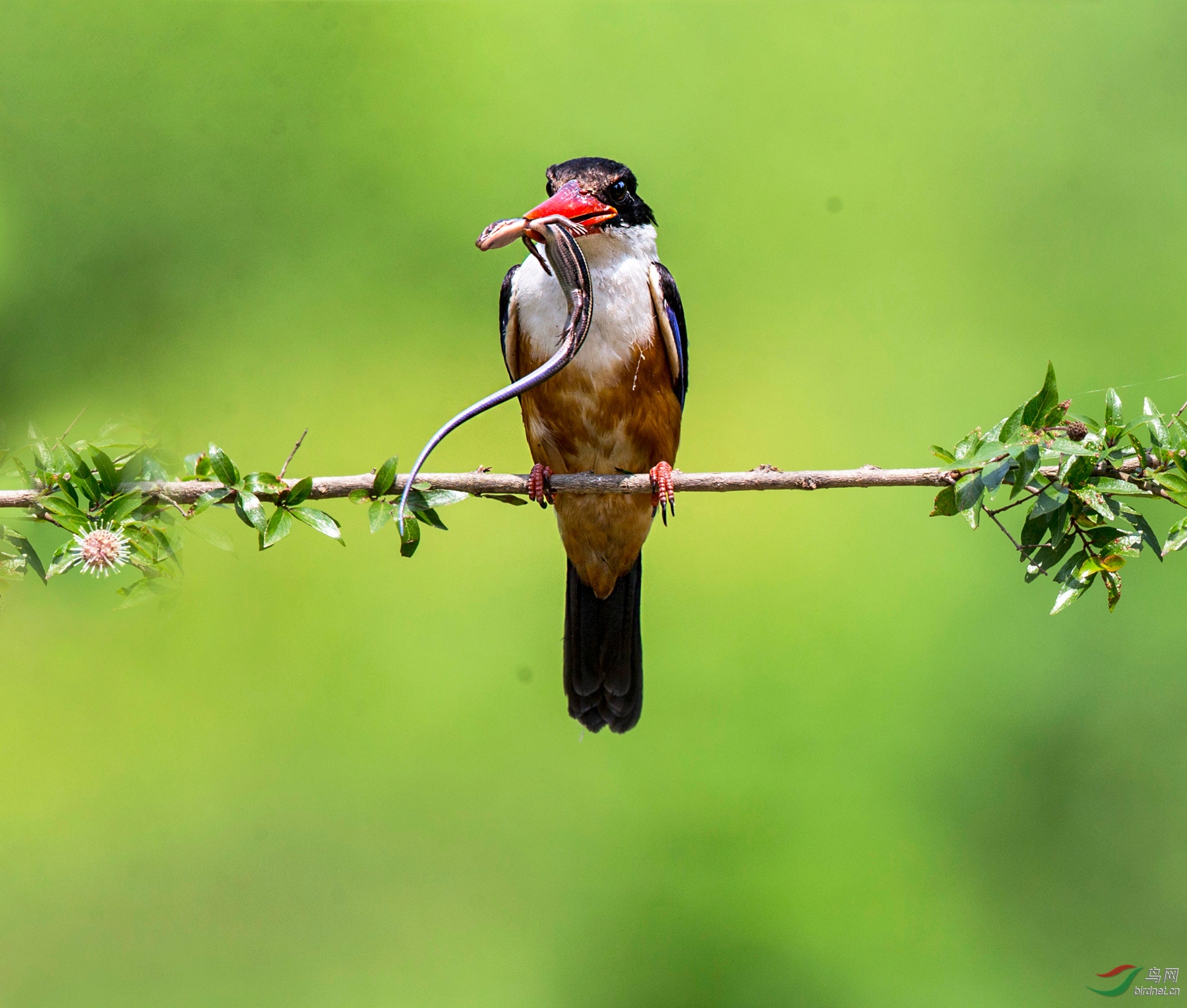 BW4Q8803 - ���� (2).jpg