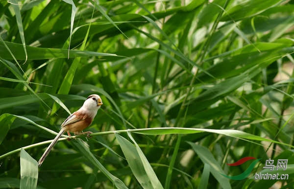 DSC_3649_����.jpg