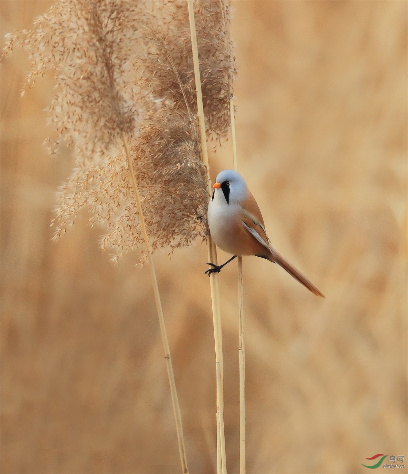 2 - ����.JPG