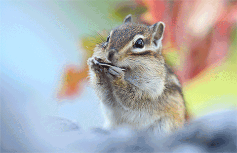 �����󶯻�3.gif