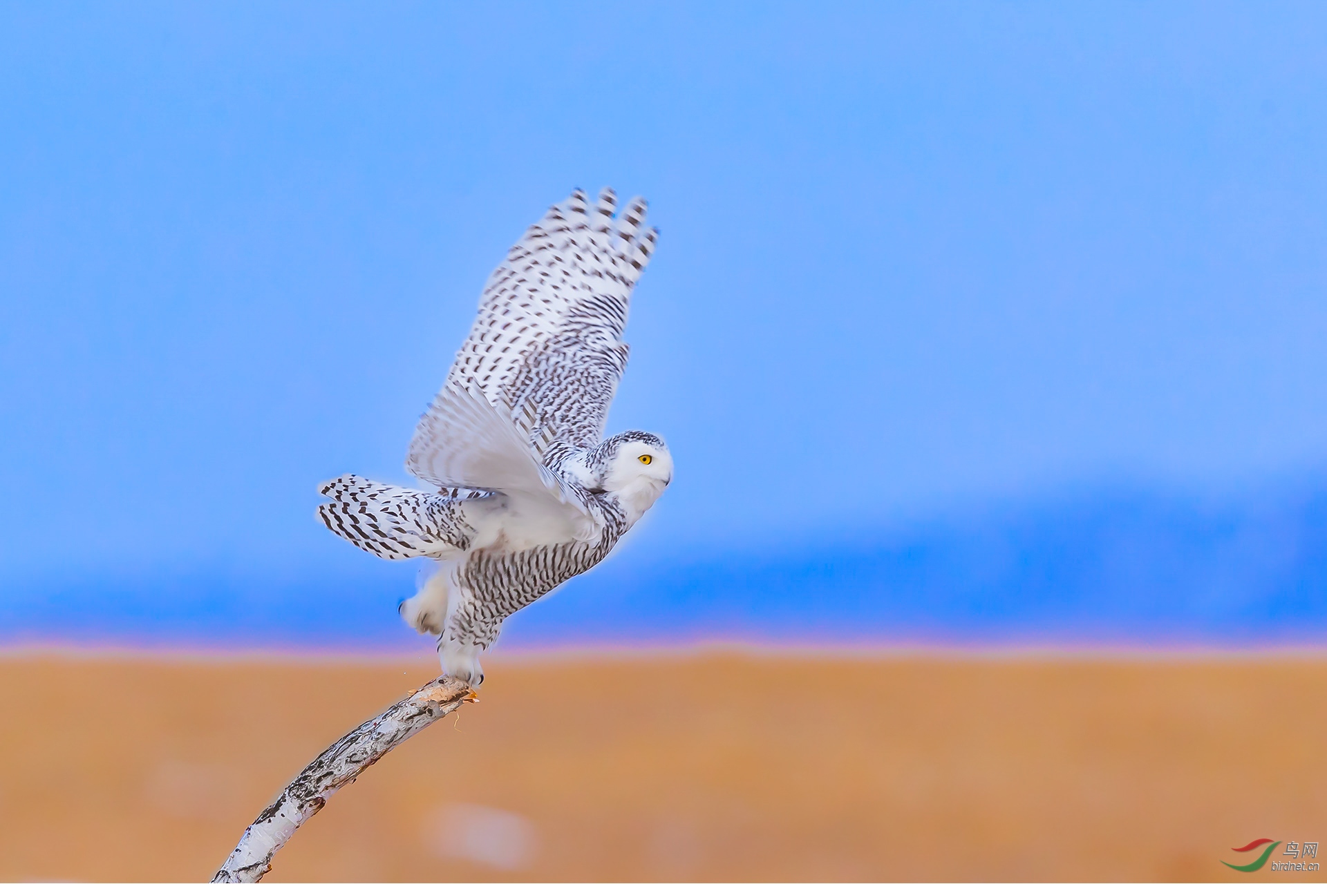 ѩ�^MM����-700.jpg