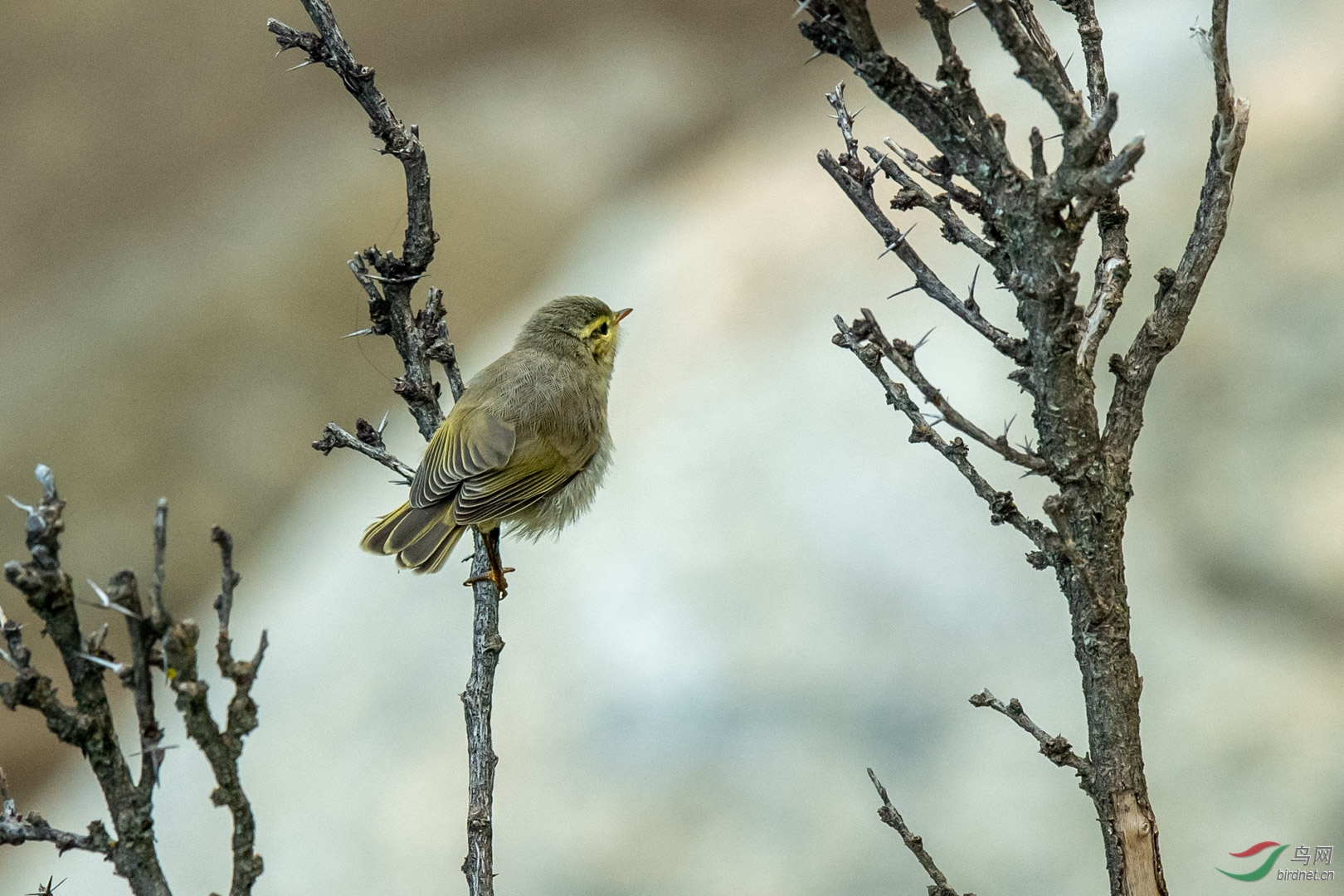 2018��8��7���������ຣ����