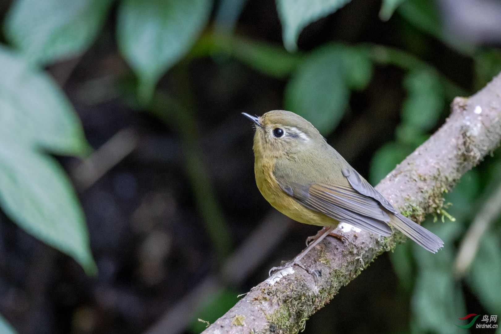 2019��12��8���������ڳ彪��կ