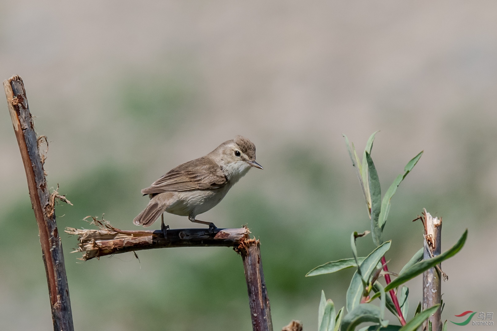 2019��5��29���������½�������