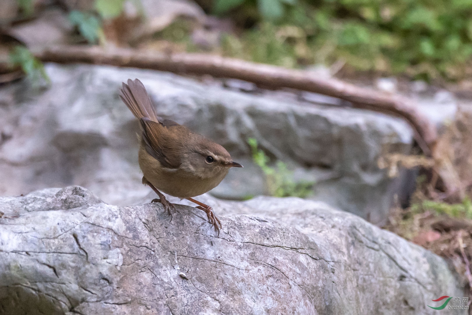 2019��12��7�������ڹ���������