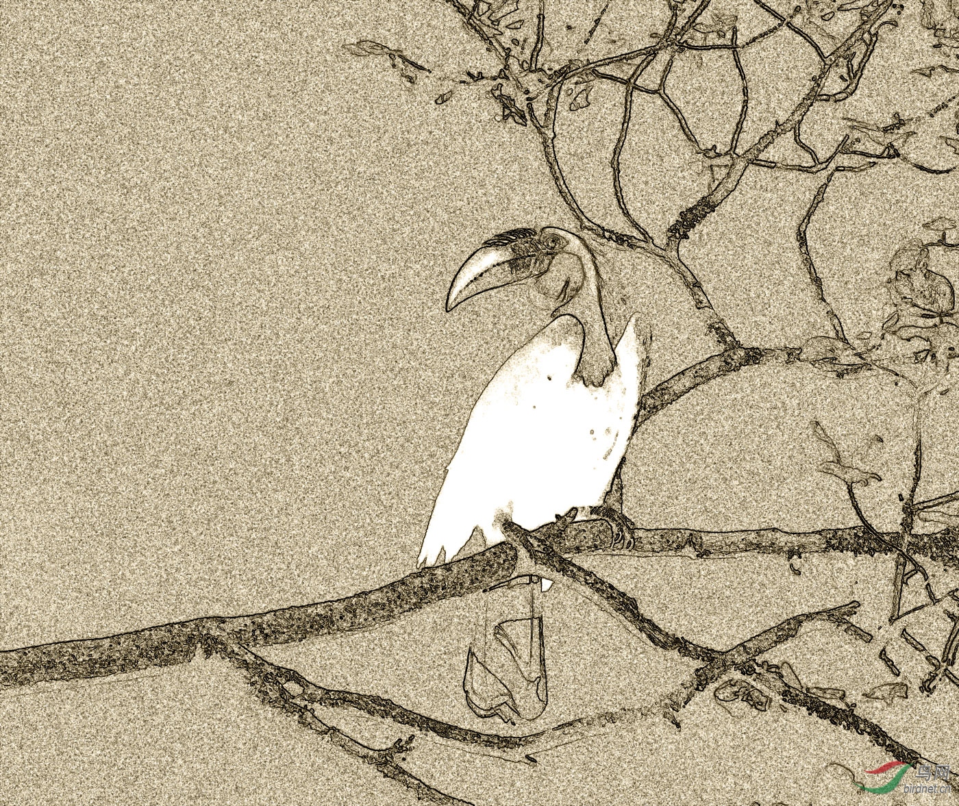 _MG_2381_���� - ����_2.jpg