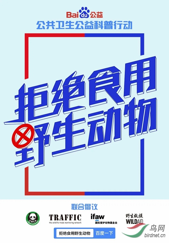 海报3~1.jpg