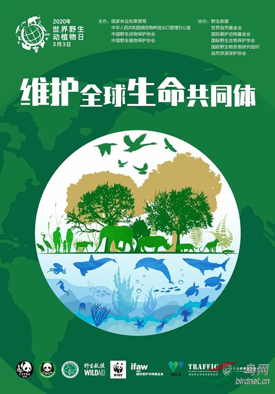 海报1.jpg