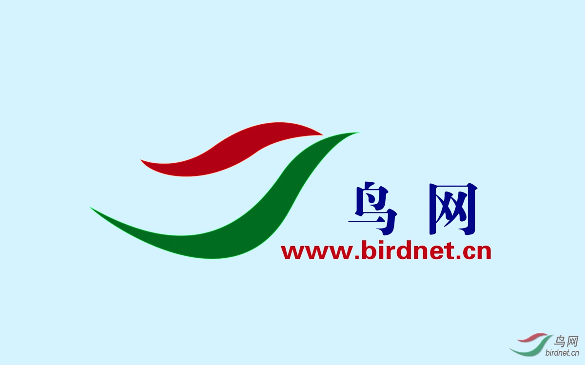 ����05-����LOGO.jpg
