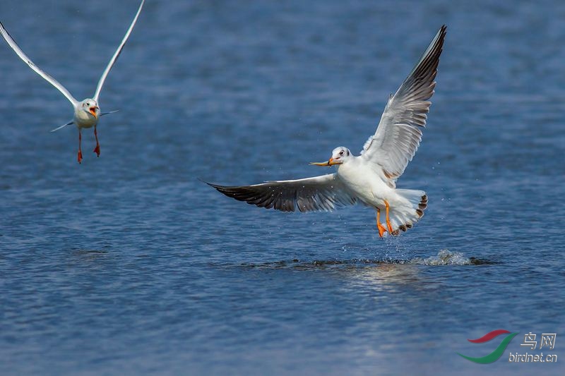 4J2A0094_2018.9.20-���� �ִ�һ��.jpg