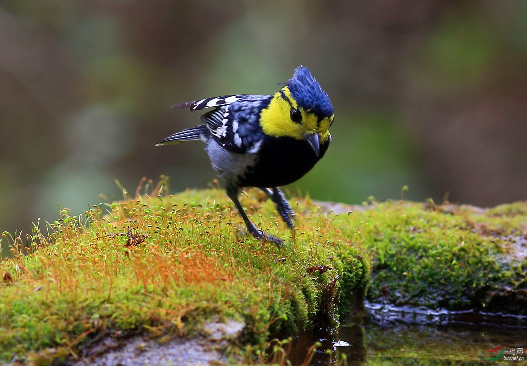 2020-01-21 13-22-17.JPG