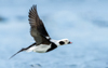 1 (61).JPG
