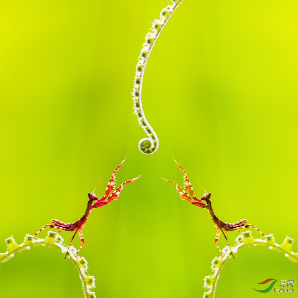 ����Ϸ��D - ����.jpg