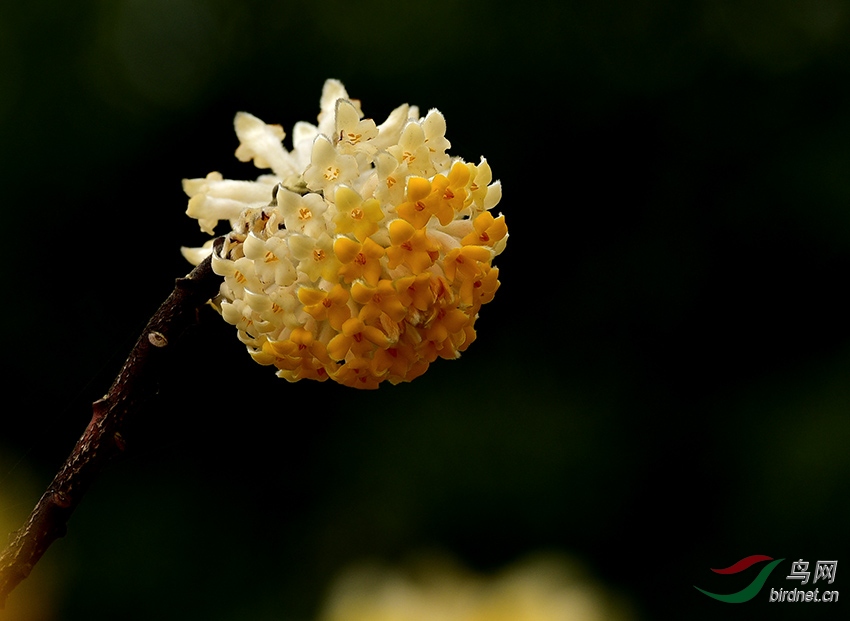 DSC_4229 ����.jpg