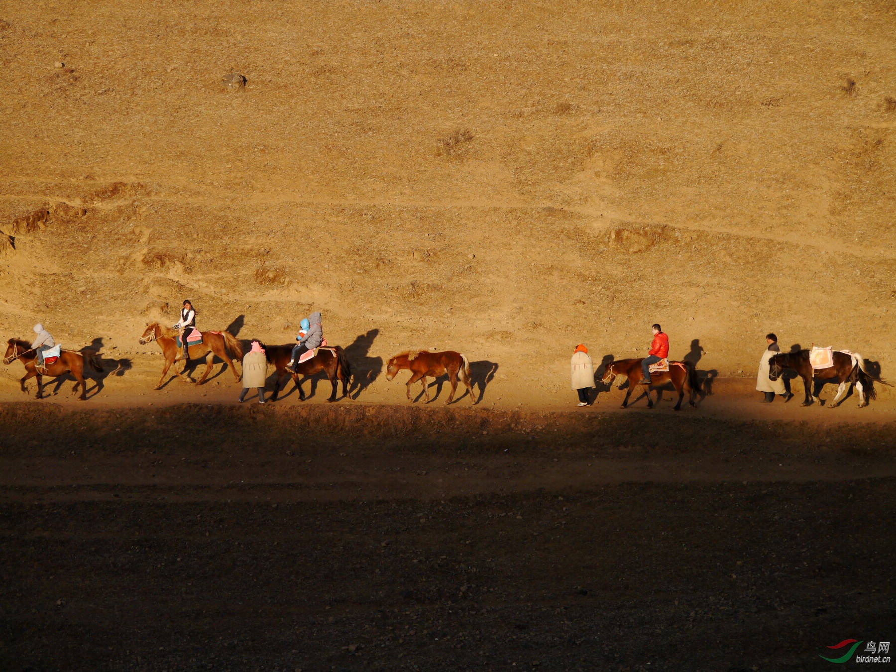 202015.׷��Ϧ���۷羰