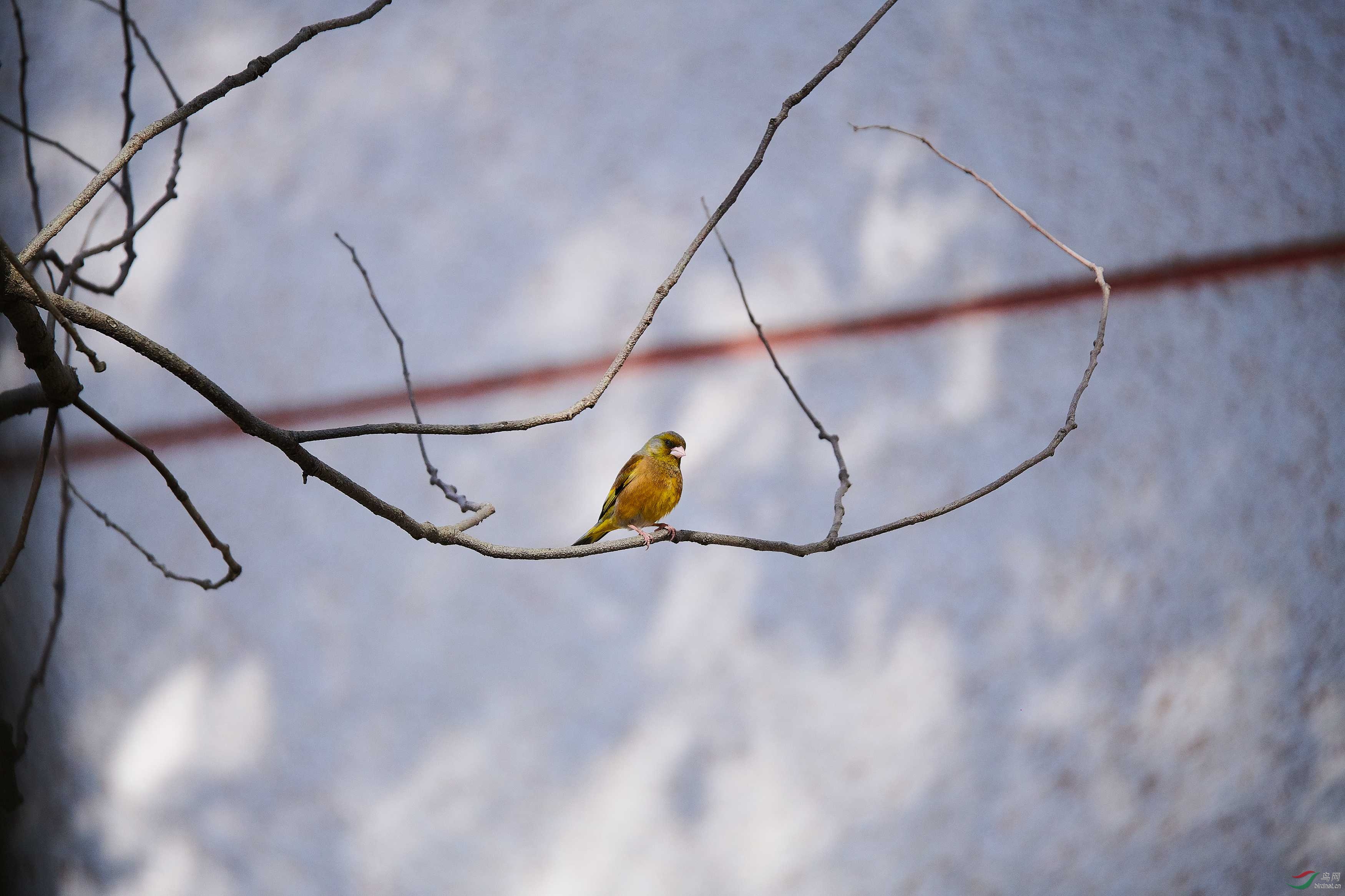 DSC_3961.jpg