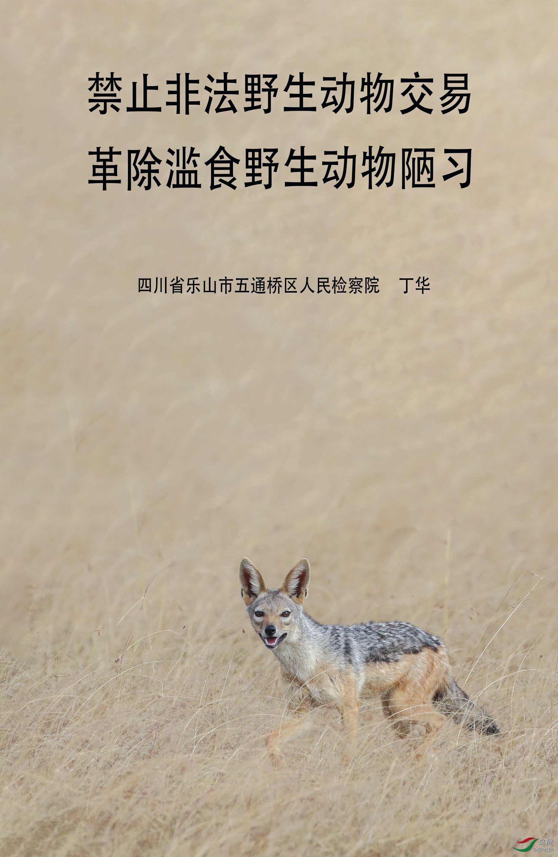 �ڱ�����   - = =(5).jpg