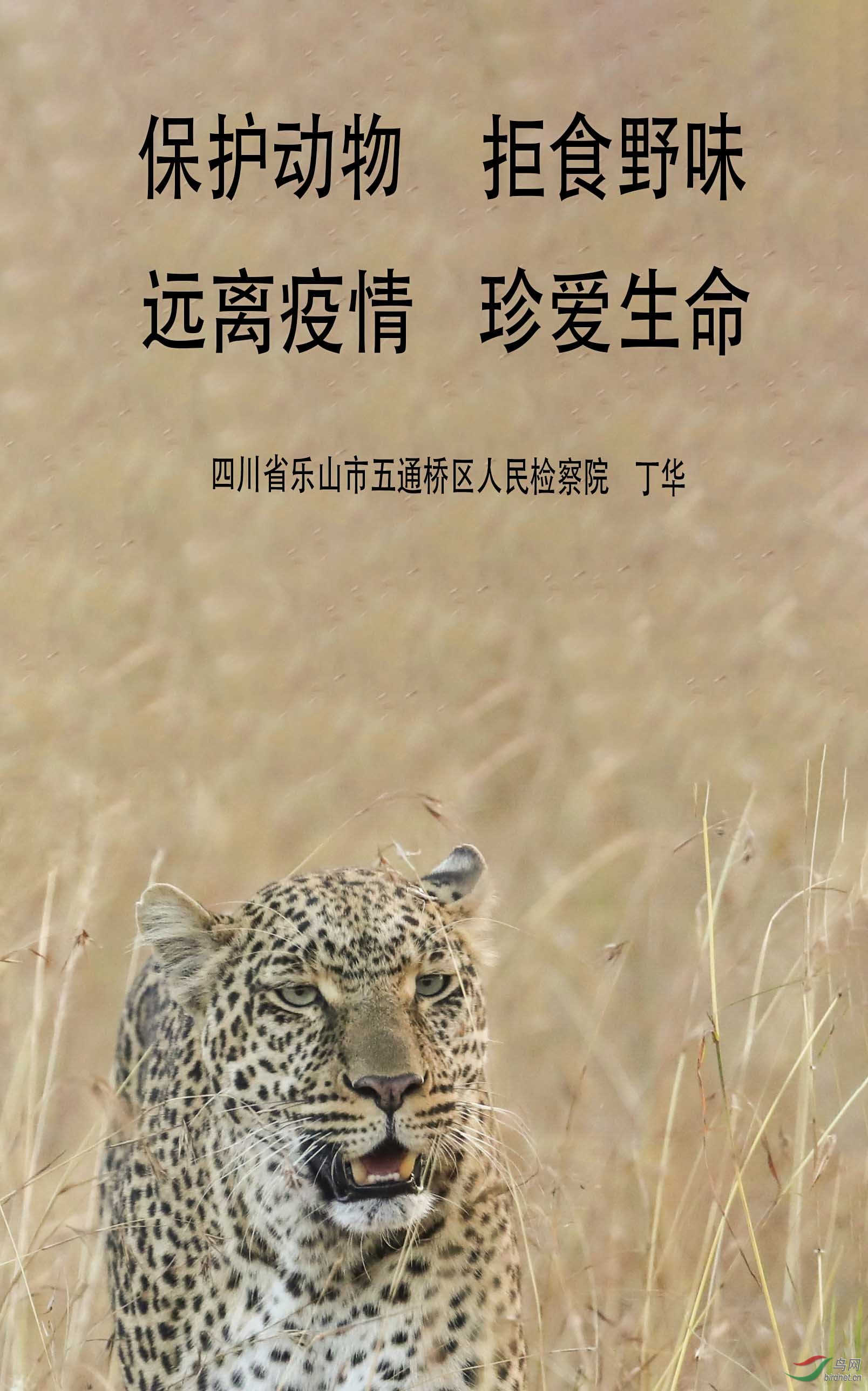 ���� (3)==.jpg