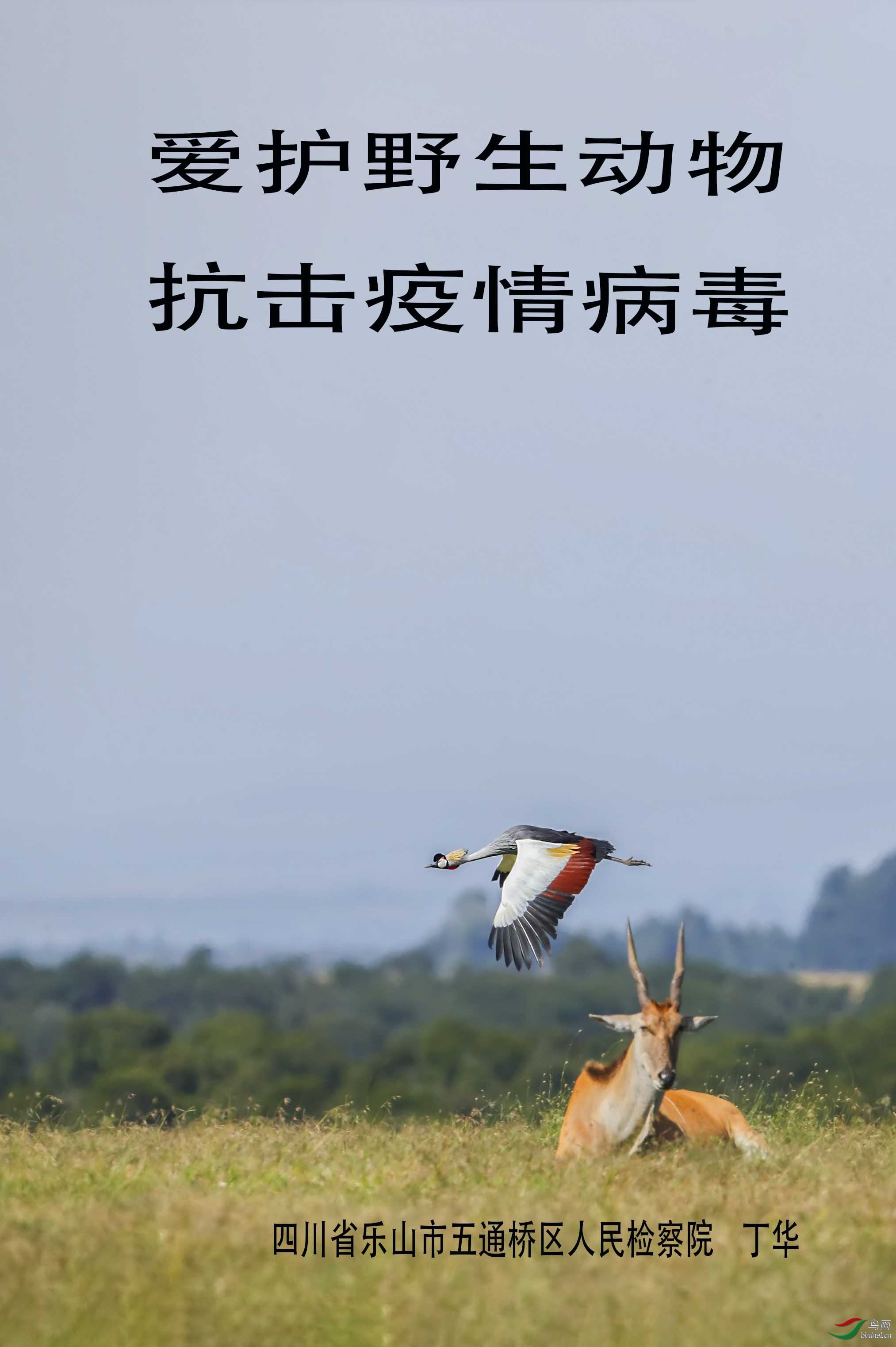 �ʹں�   = =  (5).jpg