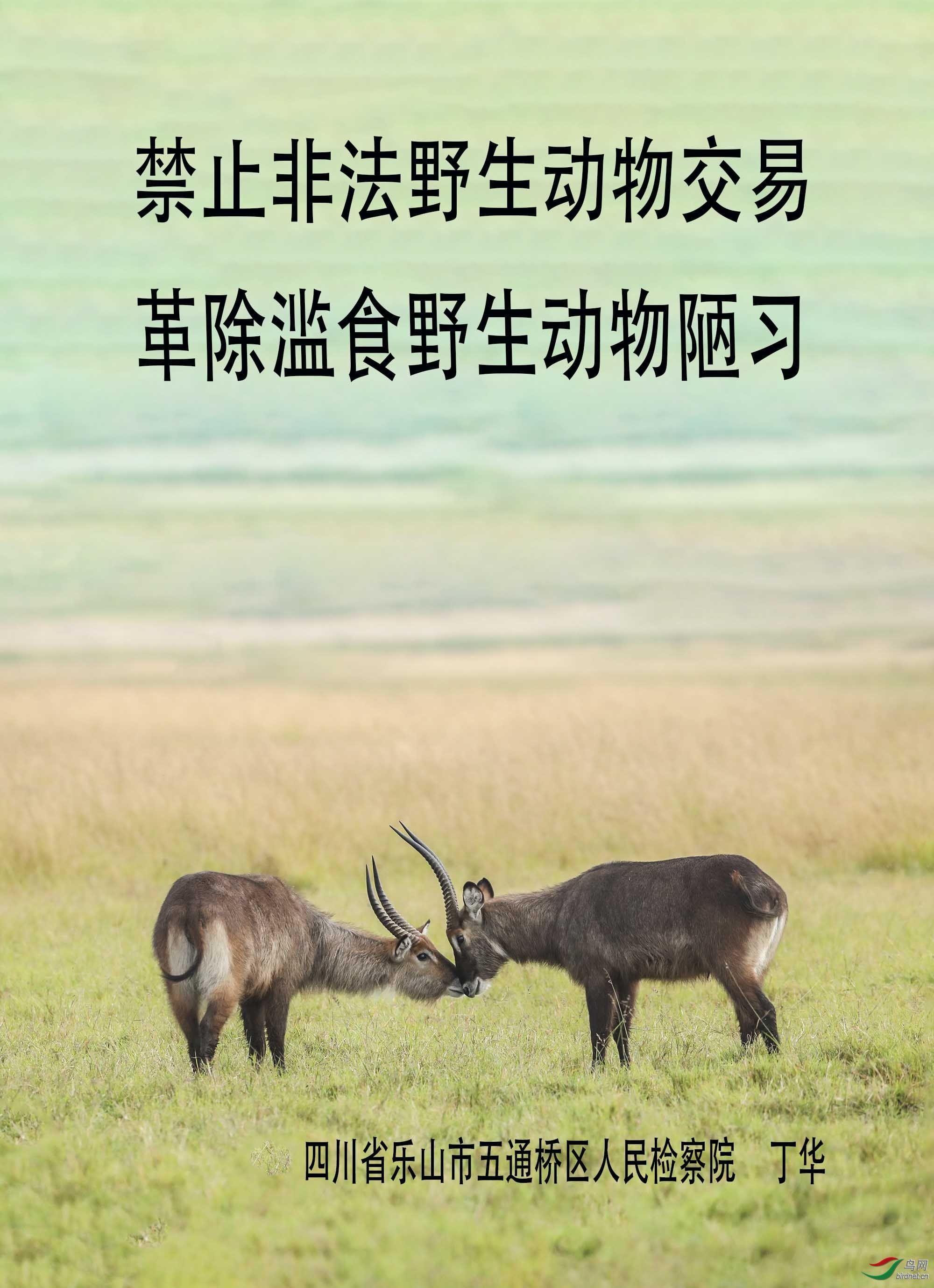 �̽����� (1)=.=jpg.jpg